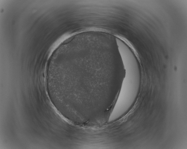 X0000081470910200702021829