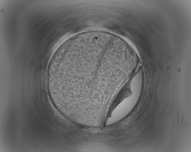 X0000081470911200702021829