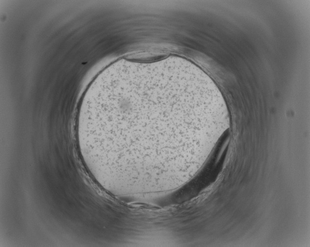 X0000081470912200702021829