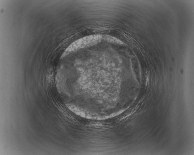 X0000081470914200702021828