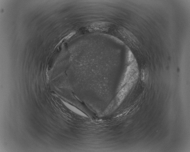 X0000081470915200702021828