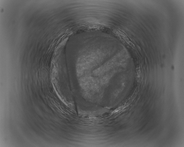 X0000081470916200702021828