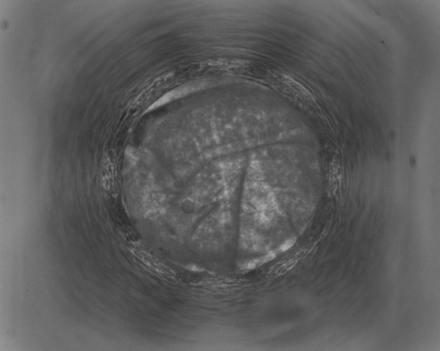 X0000081470917200702021828