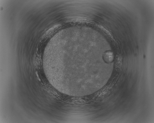 X0000081470918200702021828