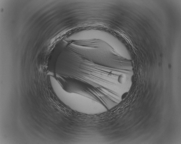 X0000081470920200702021828