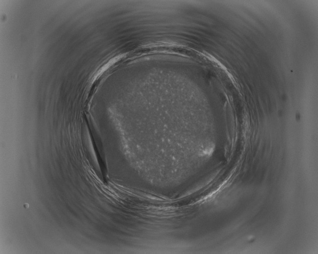 X0000081470921200702021828