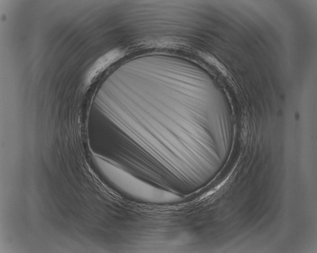 X0000081470922200702021828