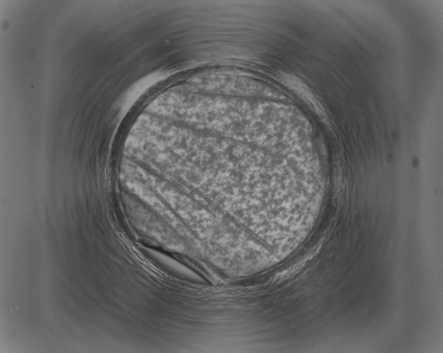 X0000081470924200702021828