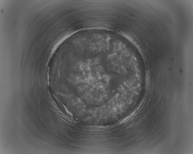 X0000081470925200702021828