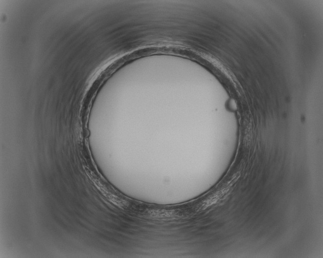 X0000081470927200702021828