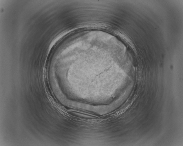 X0000081470928200702021829