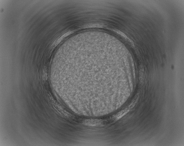 X0000081470929200702021829