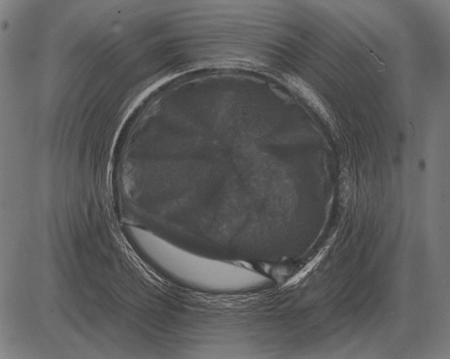 X0000081470932200702021829