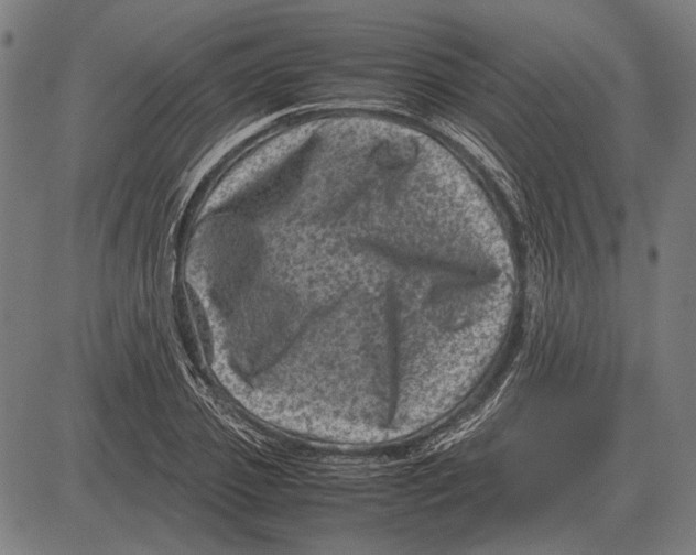 X0000081470933200702021829