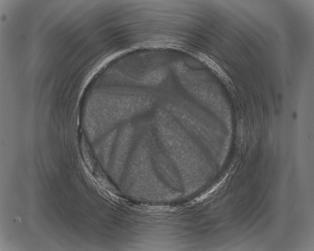 X0000081470934200702021829