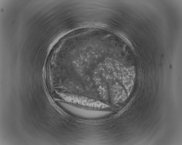 X0000081470936200702021829