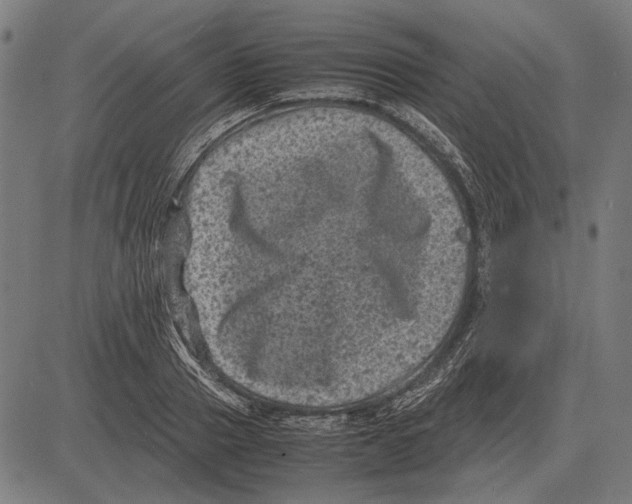 X0000081470937200702021829