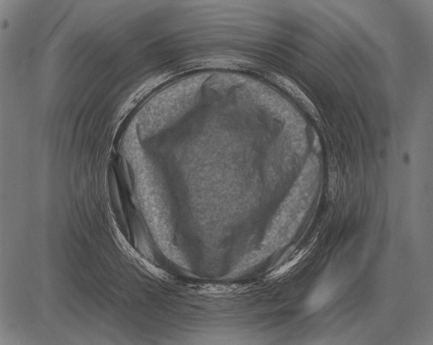 X0000081470938200702021829