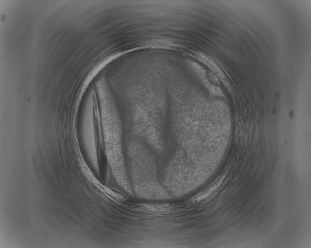 X0000081470939200702021829