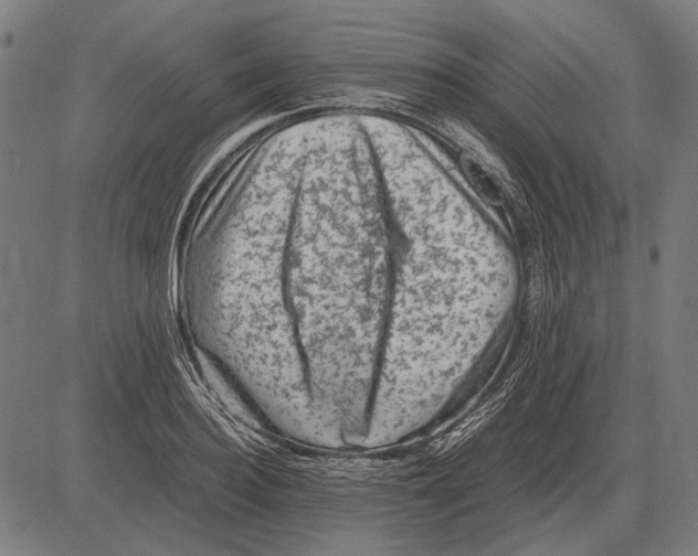 X0000081470940200702021829