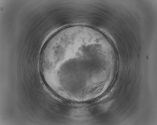 X0000081470941200702021829