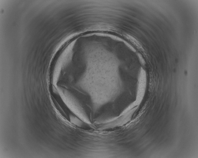 X0000081470942200702021829