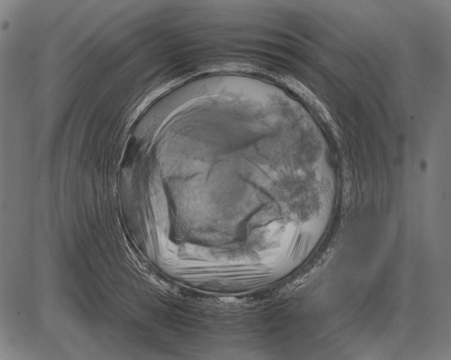 X0000081470945200702021829