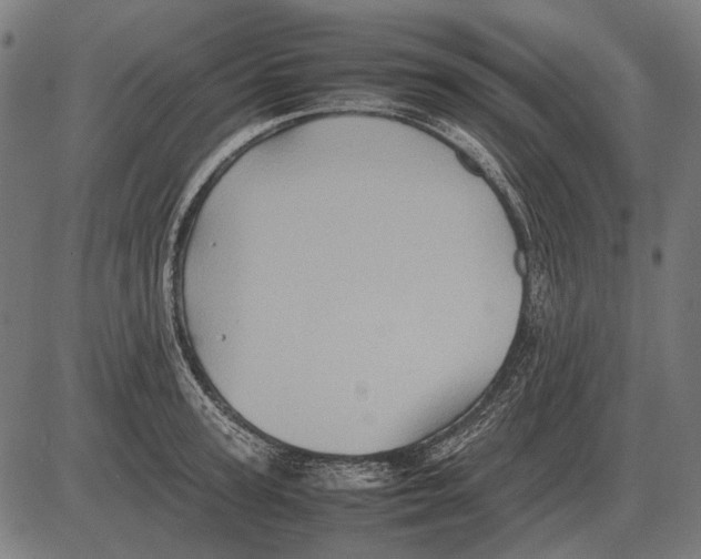 X0000081470947200702021829