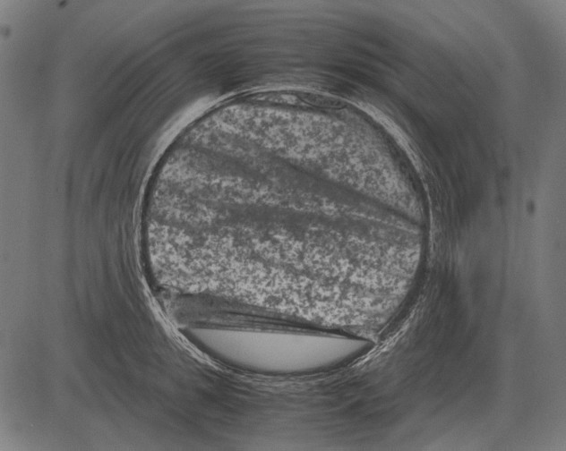 X0000081470949200702021829