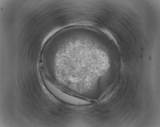 X0000081470952200702021829