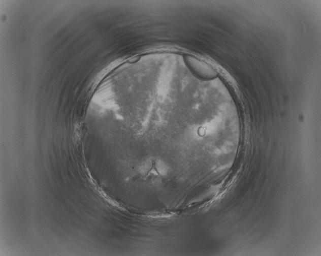 X0000081470953200702021829