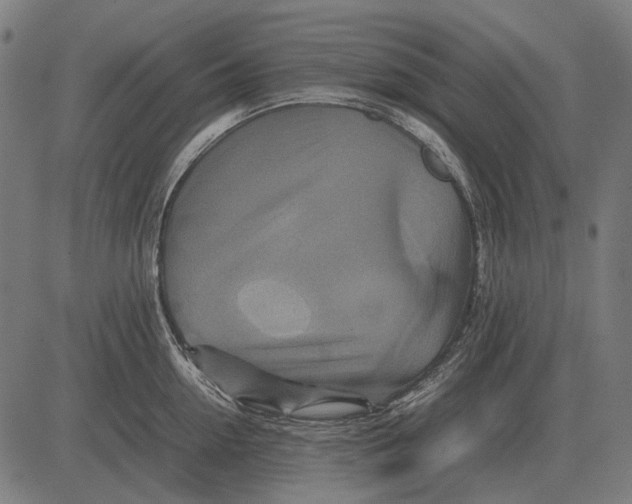 X0000081470954200702021829