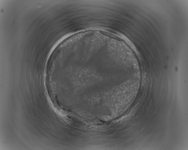 X0000081470955200702021829