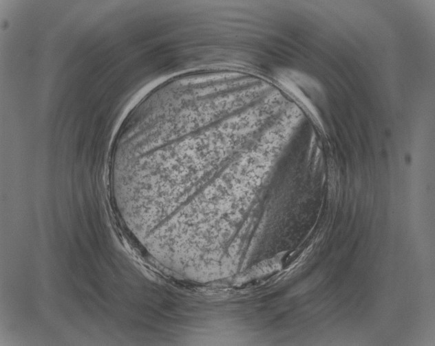 X0000081470956200702021829