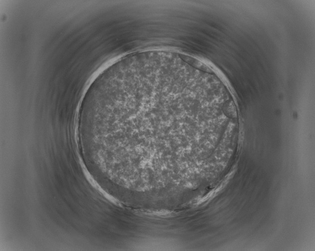 X0000081470957200702021829