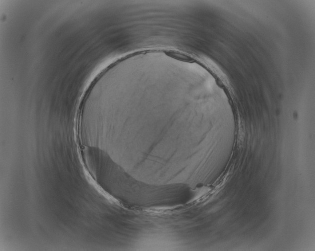 X0000081470958200702021829