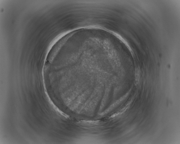 X0000081470959200702021829