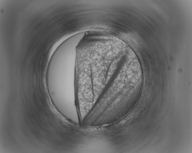 X0000081470960200702021829