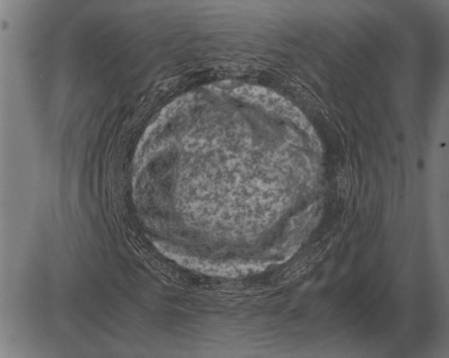 X0000081470961200702021828