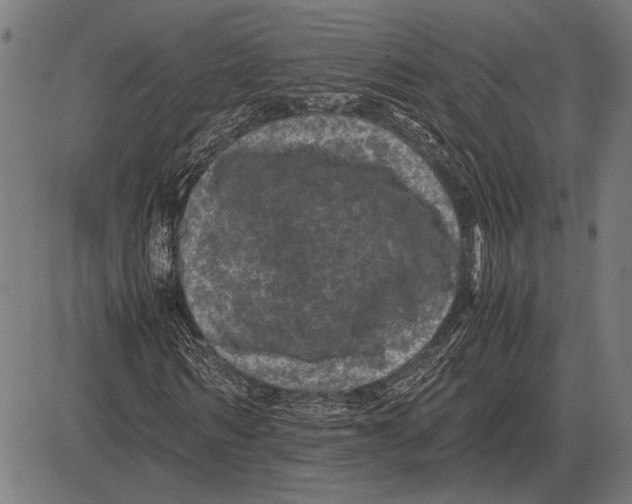 X0000081470962200702021828