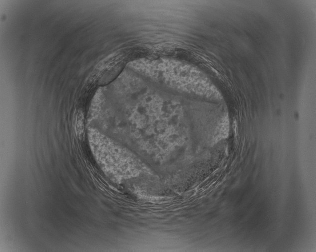 X0000081470963200702021828