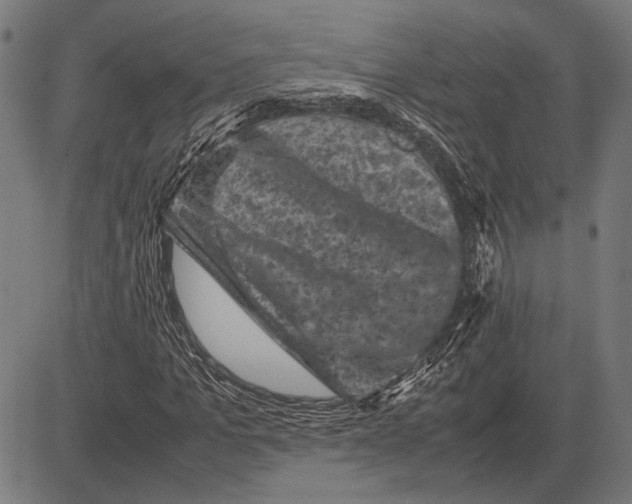 X0000081470965200702021828