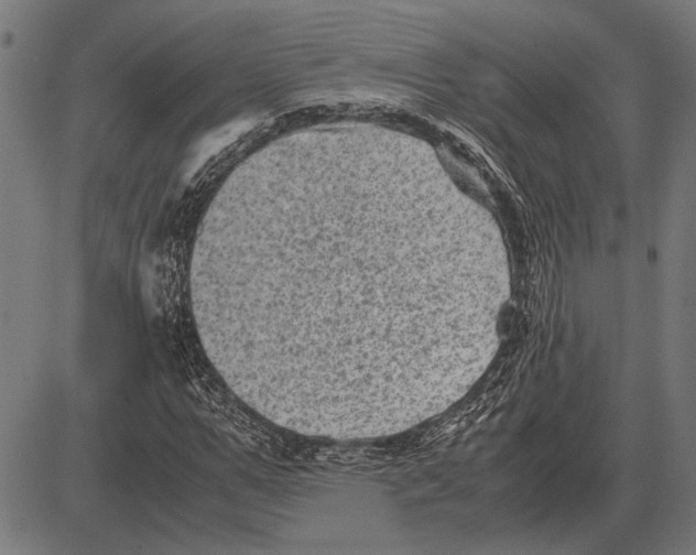 X0000081470967200702021828