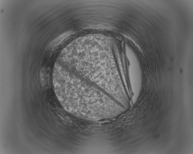 X0000081470968200702021828