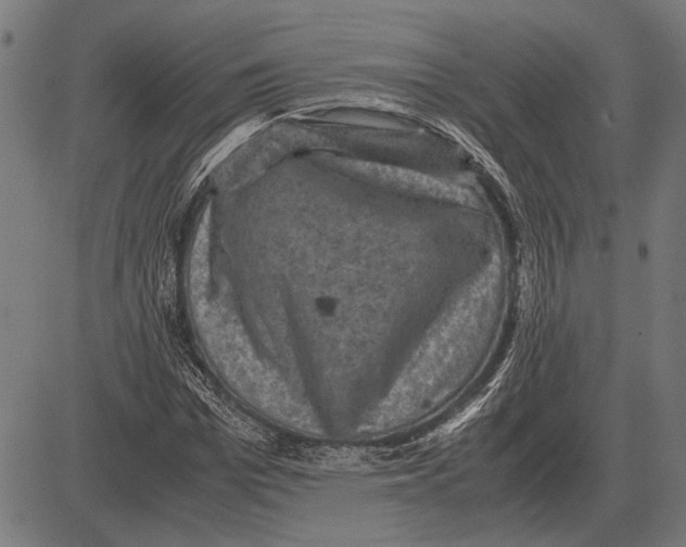 X0000081470969200702021828