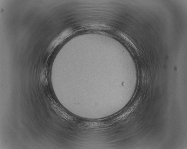 X0000081470970200702021828