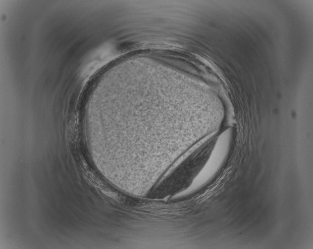 X0000081470971200702021828