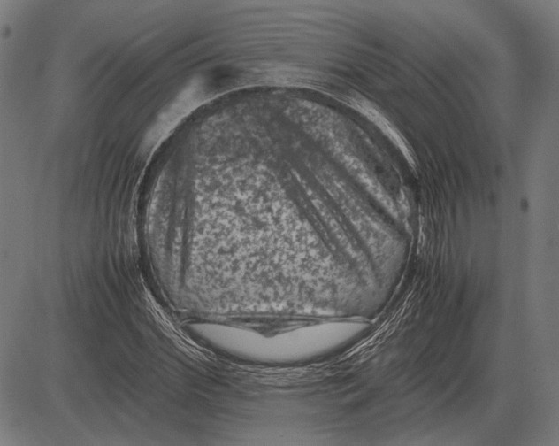 X0000081470972200702021828