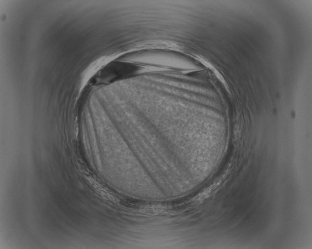 X0000081470973200702021828