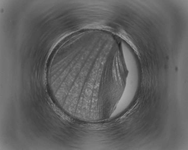 X0000081470976200702021828